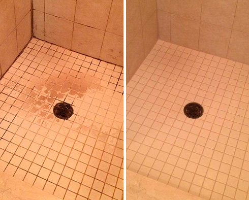 Shower Restored by Our Tile and Grout Cleaners in Edgewater, CO