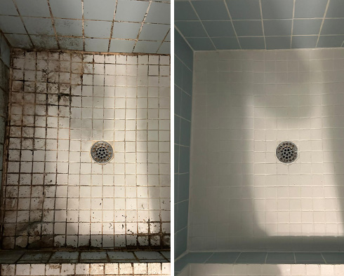 Shower Restored by Our Tile and Grout Cleaners in Lakewood, CO