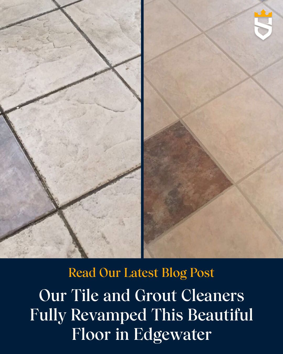 Our Tile and Grout Cleaners Fully Revamped This Beautiful Floor in Edgewater